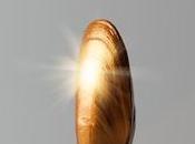 CINEMA retour Machins