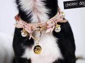 colliers strass, noeuds, perles pour chiens