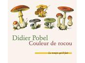 Entretien avec Didier Pobel autour "Couleur rocou"