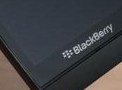 Blackberry leak caractéristiques