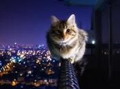 nuit d'appel iPhone, sauf passage nouvel an...