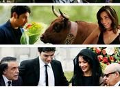 Cinéma Workers (Pronti tutto), affiche, photos bande annonce