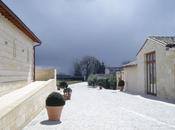 dynamisme (Cercle Rive Droite)