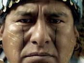 Mayas gros contre l’agence Auditoire