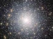 fouillis d'étoiles exotiques