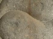 Pour expérimenter l'être, dois-je renoncer l'esprit critique