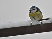 verglas neige font l'actualité...