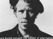 Nous sommes singes avec l'argent armes