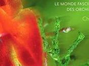 Beautés fatales, monde fascinant cruel orchidées sauvages