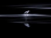 Sélection Pixfan 500px