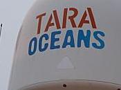 TARA OCEANS, étudier plancton pour mieux comprendre océans.