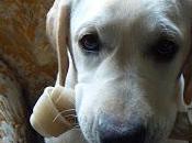 souvenir prouve-t-il permanence conscience