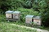 L'apiculture plus utile culture