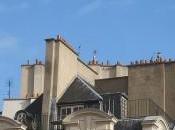 Cheminées foyer ouvert bûcher libertés