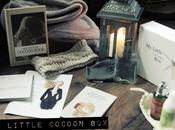 Little Cocoon {novembre}