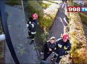 Sauvetage d'un chat (caméra embarquée)