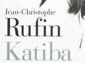 roman lire pour visualiser causes guerre mali