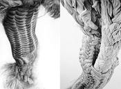 Huguette Despault fait vibrer corde