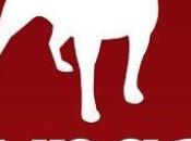 Zynga perd millions dollars