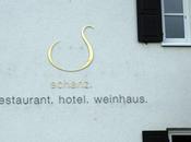 terroir (suite sans fin) l'Allemagne mosellane