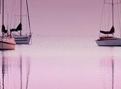 socialonline: Sailboats morning sunrise (via flipboard)