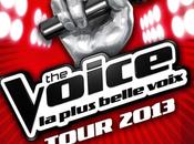 Voice Tour 2013: Toutes dates tournée