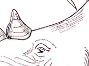 Encore d'orthographe