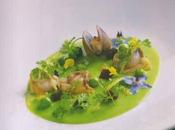 coulis froid petits pois, zestes citron confit, palourdes, betteraves, cerfeuil