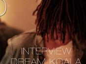 Interview dream koala