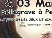 11ème Salon Aquitain Jeux Simulation