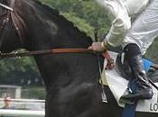 Nouveaux étalons premiers (2013)