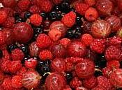Bavarois fruits rouges