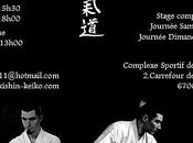 Aikido avec Issei Tamaki Hervé Cornerotte Arlon