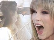 Goat edition cris chèvre dans chansons Taylor Swift Usher