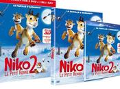 Niko Petit Renne DVD, Blu-Ray, version Collector Mars Replongez dans aventures héro temps modernes