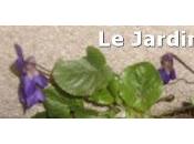 Recette mardi sirop violettes
