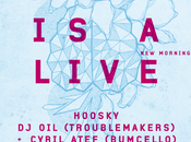 live Hoosky