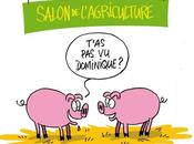 cochon l'honneur salon l'agriculture