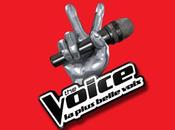 Programme télé Mars 2013 Voice soir