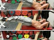 Romain dragon flag, Rocky inspiration