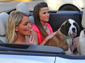 Anges générique, vidéo