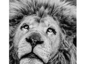 Sélection Darqroom Pixfan #106