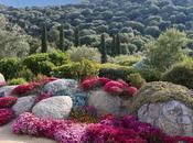 Quand MaquiS CorsE laisse Dompté...