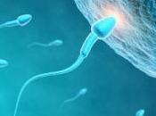 FÉCONDITÉ: qualité sperme aussi saisonnlité American Journal Obstetrics Gynecology