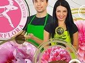 Coupe Espoir Départementale Interflora Saintes