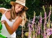 Conseils pratiques pour cultiver jardin sans pesticides