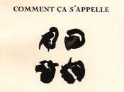 [note lecture] "Comment s'appelle" d'Alexis Pelletier, Antoine Emaz