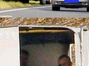 Dessine-moi mouton anglais