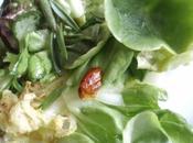 Salades printanières