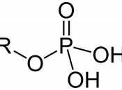 Accéder phosphates